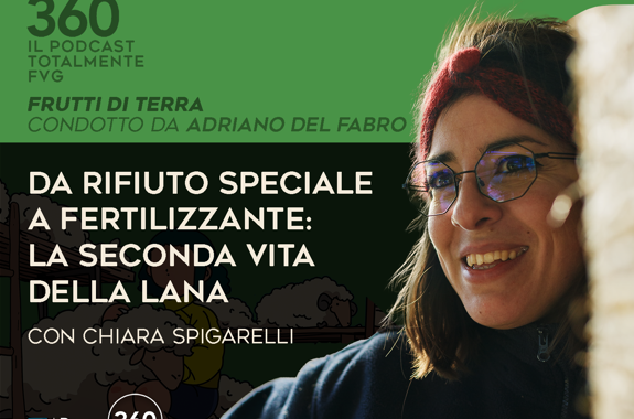 SPIGARELLI FB