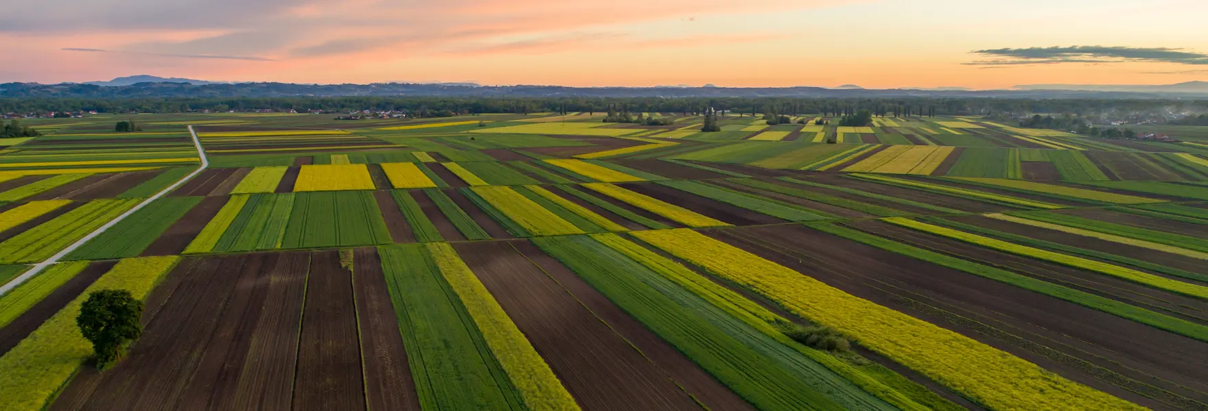Agribusiness 