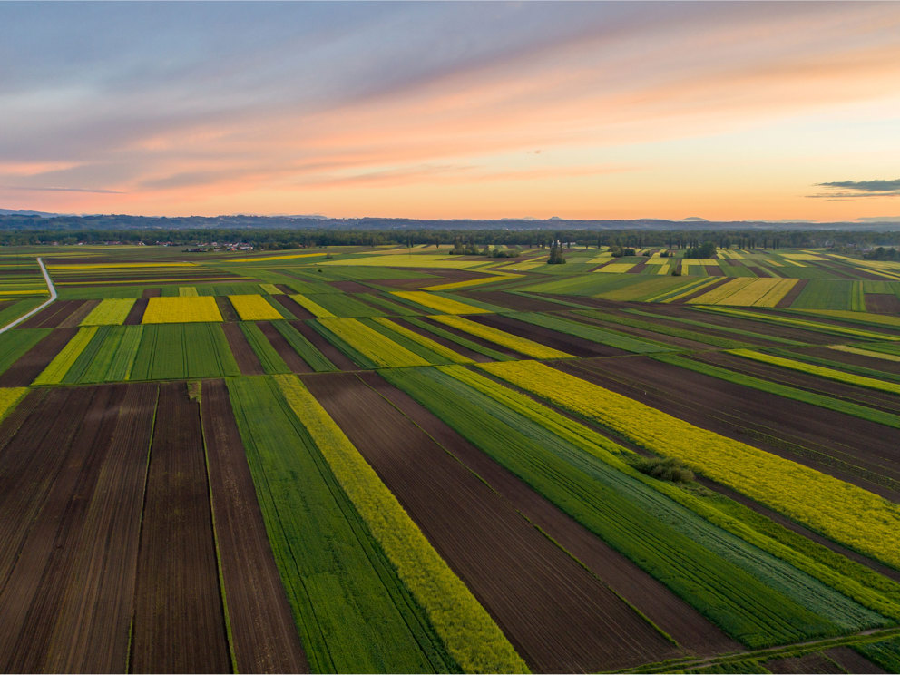 Nuova sezione Agribusiness: soluzioni per le imprese agricole 