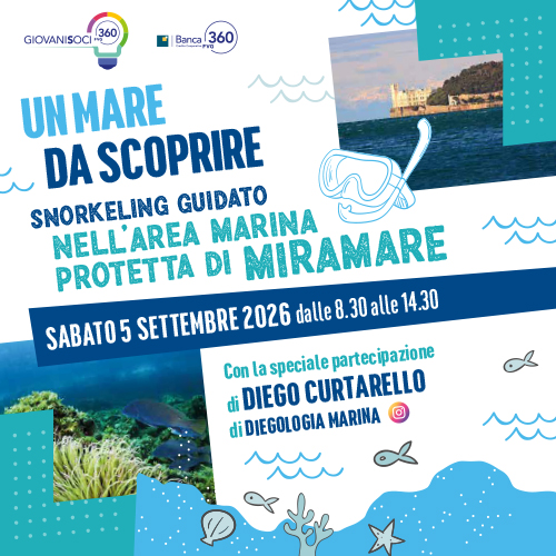 Miramare 500X500px