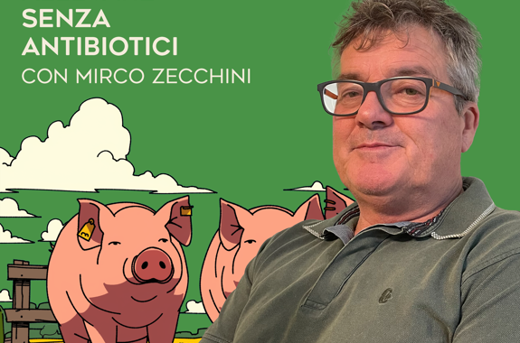 COPERTINA ZECCHINI