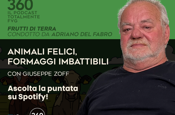 ZOFF FB