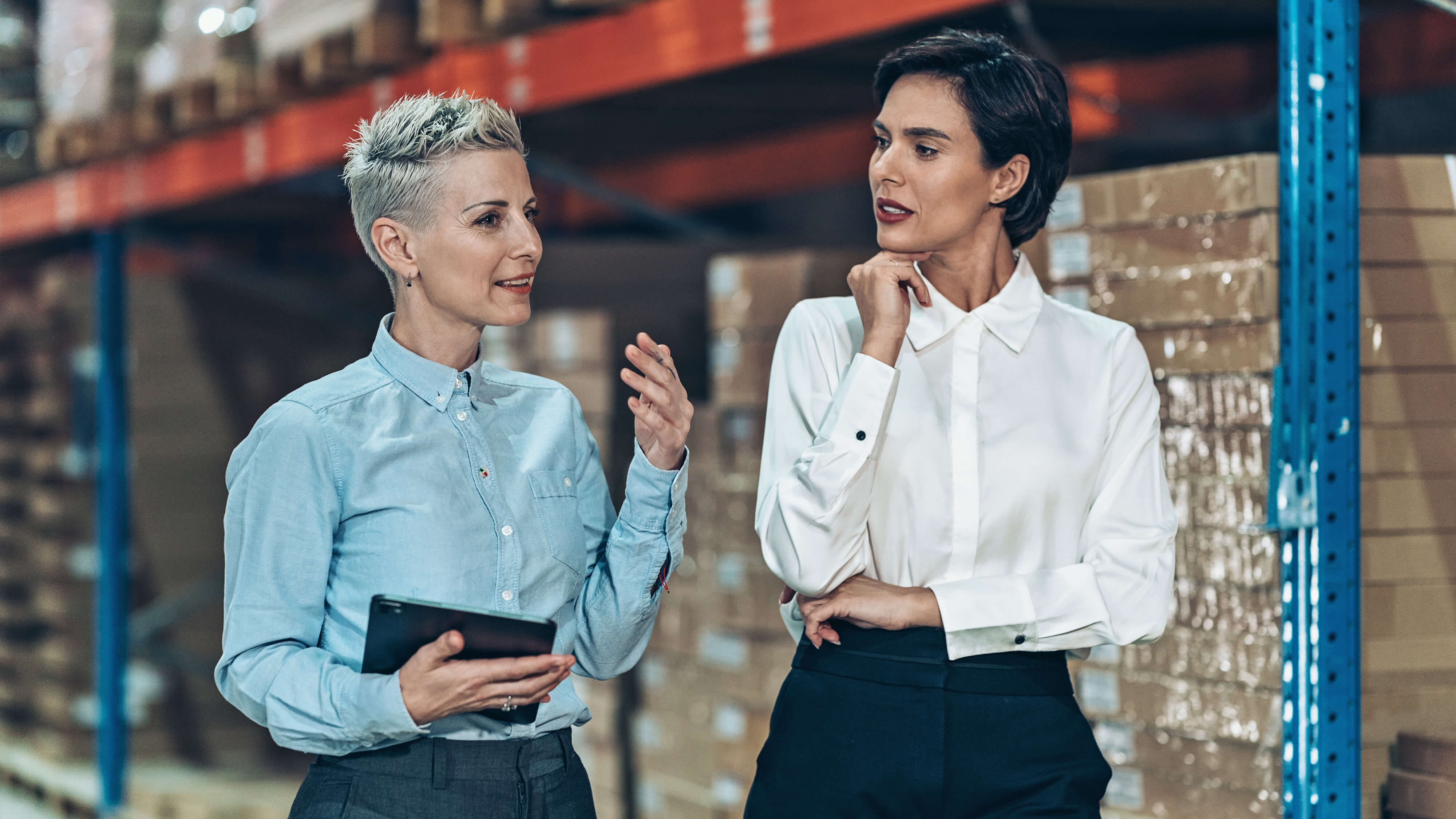 Assistenza Da Parte Di Export Manager 